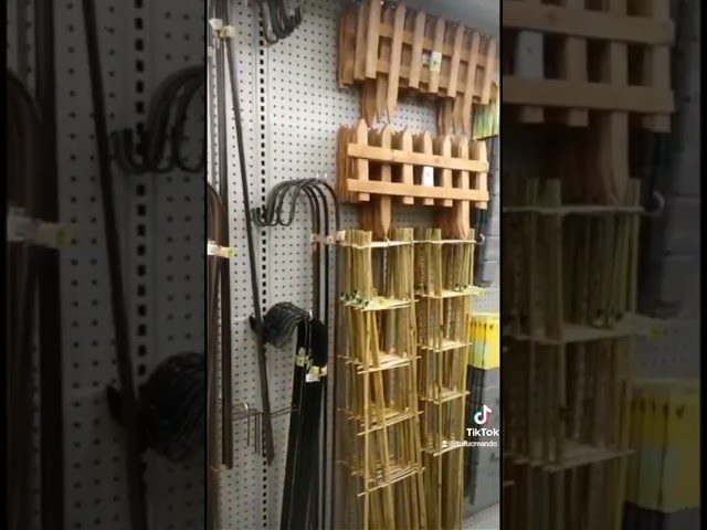 Vídeo relacionado con fuxunamz Setas de Jardín, 20 Unidades (10x 2,5cm, 10x 1,7 cm), Mini Setas de para Decoración de Jardín, Macetas, Estatua de maceteros, Decoración de jardín, de Mesa.