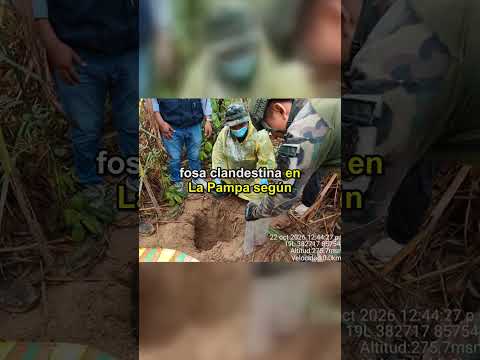 📰 Olfatecho Noticias — lunes 26 de octubre (décima quinta edición)