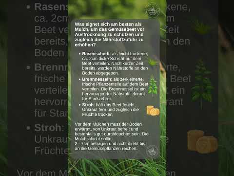 #GartenTipps #Mulchen #Gemüsebeet #BioGarten #NachhaltigGärtnern #UrbanGardening #Gartenarbeit #Bio