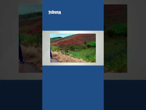 Ex-vice-prefeito morre em acidente próximo a Santo Antônio do Grama