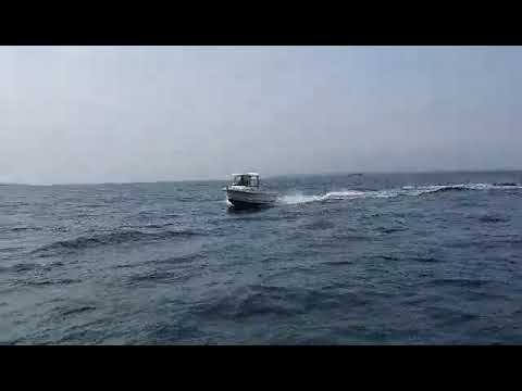 Smartliner FISHER-19 video