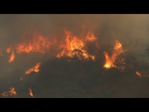 ¡¡¡UN INCENDIO IMPACTANTE EN Los Sauces, Región de la Araucanía!!!