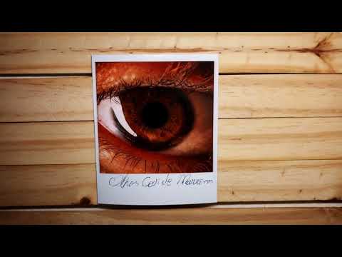 Olhos Cor De Marrom - Leo Passag