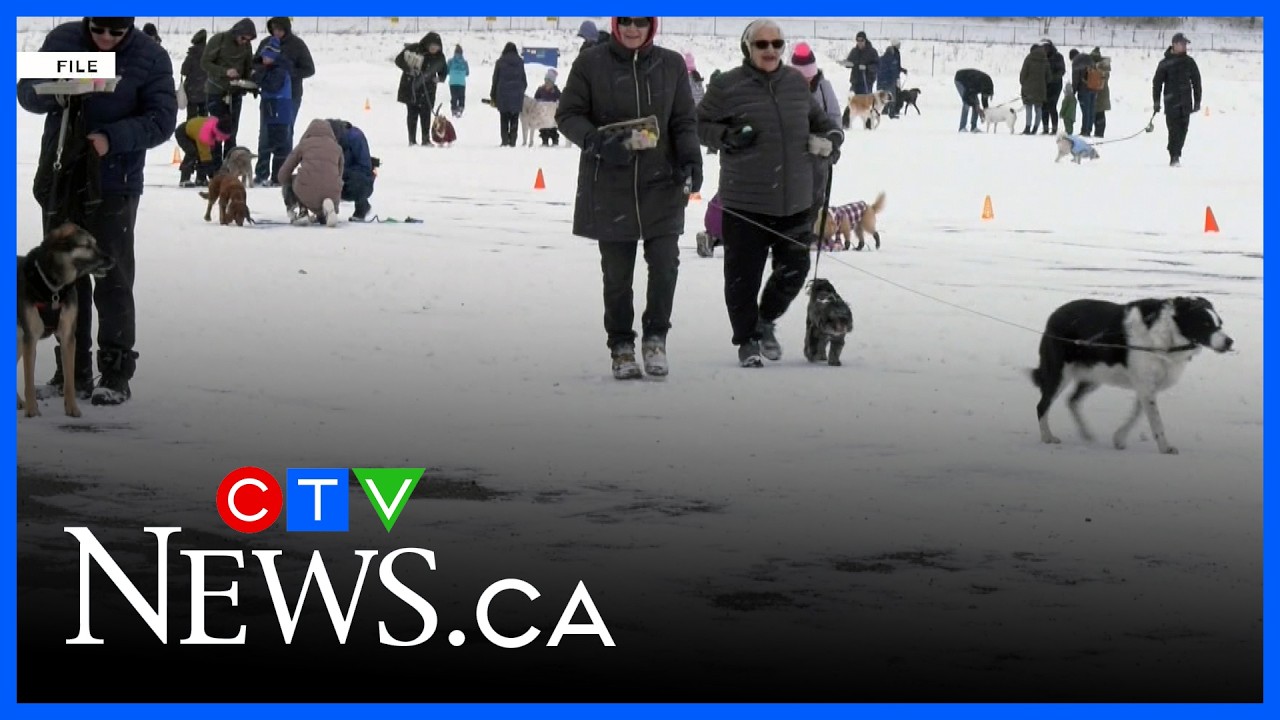 Calaway Park Easter Egg Hunt