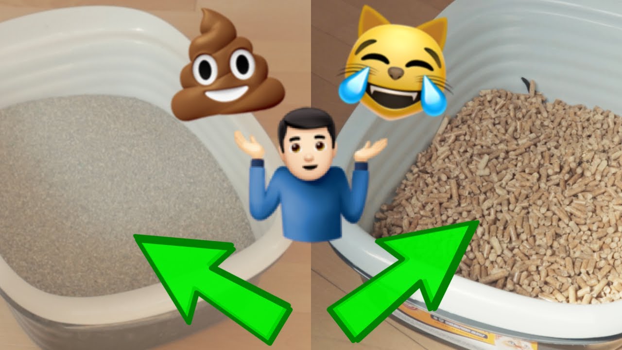 Pine pellet litter demonstration video — how it works and how to sift