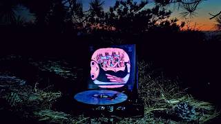 My Morning Jacket - Into the Woods (Vinyl Me, Please)
