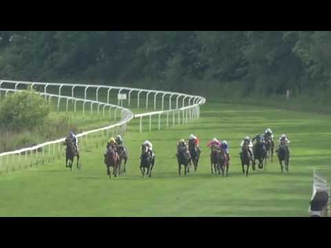 KV, 19. 6. 2016, 6. dostih - Cena společnosti REALISTIC a.s.