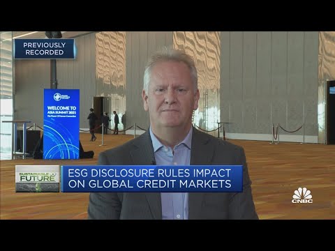 It's still 'difficult' to get transparency around ESG disclosures: Fitch Ratings