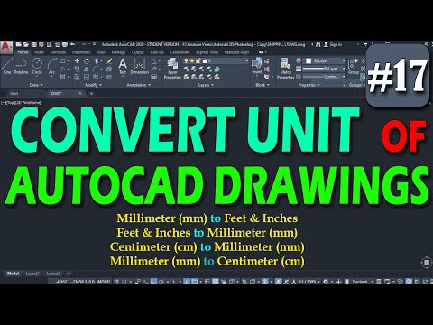 How to Exit VIEWPORT in AutoCAD because you zoom too much in CAD Layout