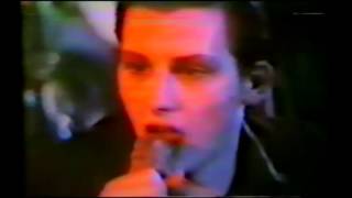 The Damned -  Fan Club