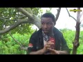 Lost Empire 2 - Nigerian Nollywood Movies