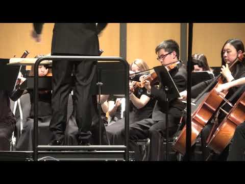 2019 TMEA All-State Sinfonietta Orchestra-Tchaikovsky Symphony No.5, Movement IV (only part of it)