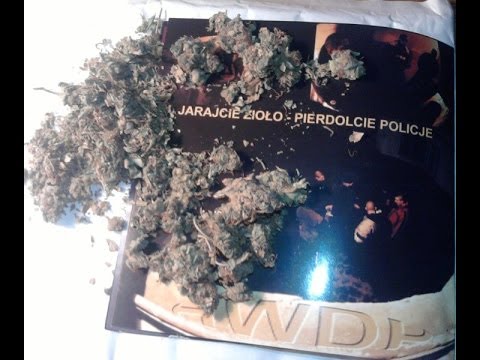 WSP - "BIEDA" (Damian & Radar)