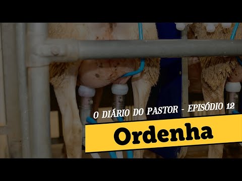 , title : 'Como é feita a Ordenha das Ovelhas | Episódio 12 | Diário do Pastor'