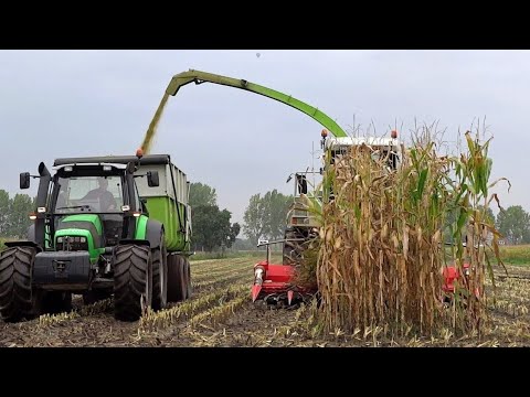 Mais hakselen | Claas Jaguar 880 | Jan Rauw & Zn B.V. | Ede | Harvesting | 2015