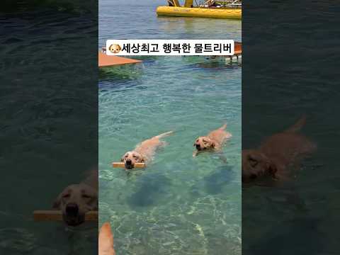 내면의 목소리에 귀를 기울여 원하는 길을 찾아가는 방법