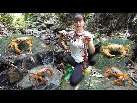 Catch Crab & Cooking, Bad Guy Broke Into The Farm To Steal Chicken | Phương - Free Bushcraft