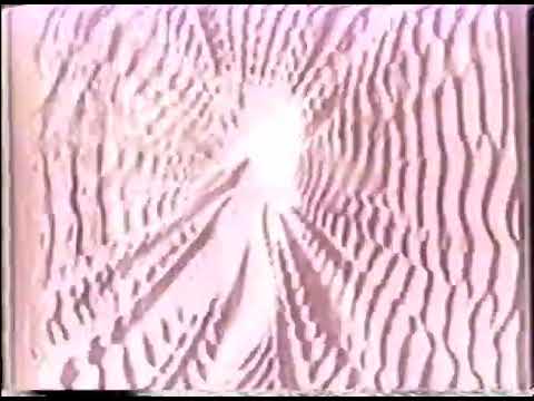 Don Slepian - Plaisir Synthetique