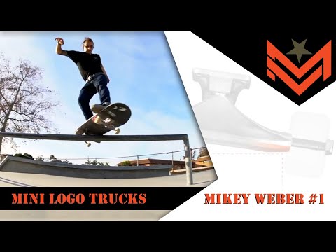【底値】Andersonフライト9.13” + ミニロゴトラック8.75” Mini Logo Trucks 8.75