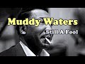 Muddy Waters - Still A Fool - Cambridge 1966(Live Audio)