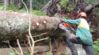 STIHL MS 362 C-M