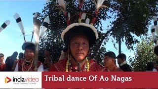 Tribal dance of Sumi tribe