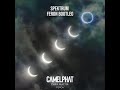 Camelphat - Spektrum (ft. Ali Love) (Feron Bootleg)