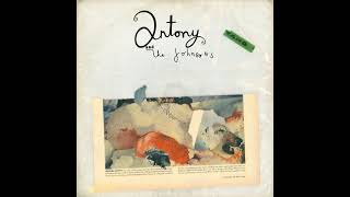 Antony And The Johnsons ‎- Salt Silver Oxygen