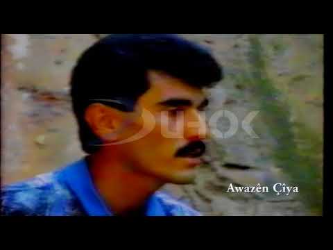 farsat hisen   layle