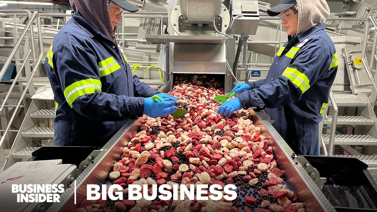 Why Maine's Blueberry Farmers Are Losing Millions