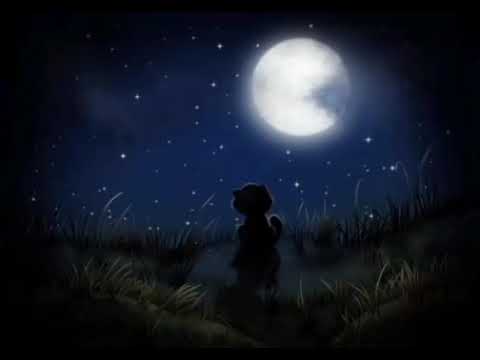 Natal Black Moon Lilith in the 5th House of Love, Pleasure, & Creativity: Healing the Inner Child