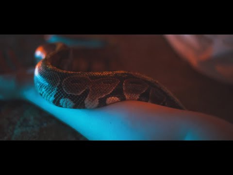 Possum Belly - Name Your Price (Official Music Video)