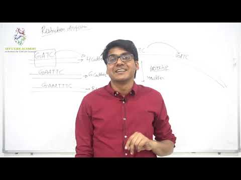 Let's Talk Academy Video 2