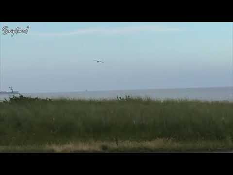 ISAIAH 49 -52 | Scriptured Devotional July 23 | He Has Not Forgotten You@BeScriptured