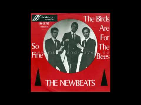 (THE BEES ARE FOR THE BIRDS) THE BIRDS ARE FOR THE BEES  NEWBEATS DES