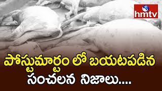 Sensational Facts on Vijayawada Cow’s Issue | Telugu News