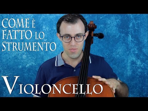 VIOLONCELLO: come è fatto lo strumento