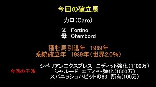 【ゆっくり解説】ウイニングポスト9　2021　系統確立  シービークロス・カロ・アホヌーラ系編
