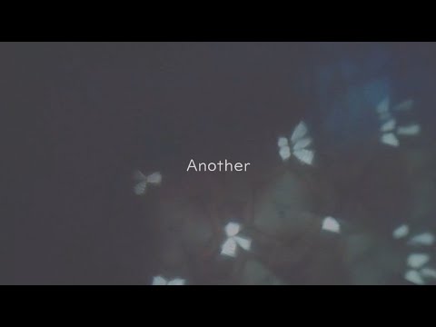 カモメは密かに私たちを監視しています - それは生き残りにかかっています