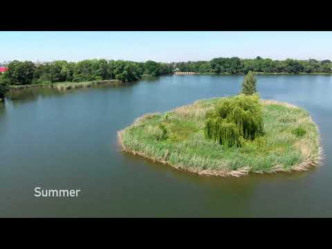 The Isle on Large pond / ostrov  na Velkém rybníku - Dolní Počernice