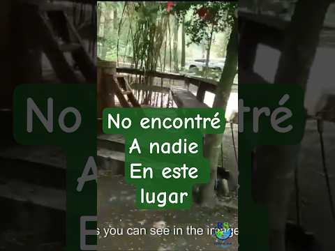 Por la ruta 199 llego a Curarrehue, donde no encuentro a nadie en este lugar.