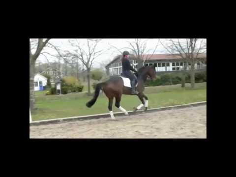 Desiderio Londonderry Weltmeyer