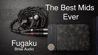Brise Fugaku Review: The Best Mids.... EVER