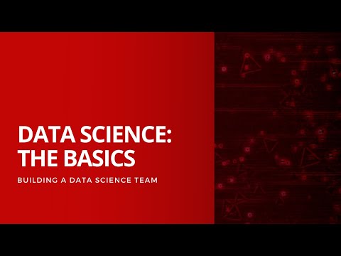 Building a Data Science Team: Understanding the Basics