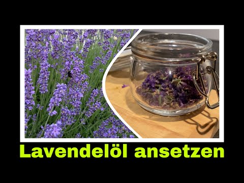 duftendes Lavendelöl selber machen | Mazerat, Ölauszug aus Lavendel | Selbstversorgung: Duftöl
