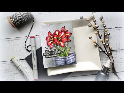 download lagu mp3 mp4 Mondo Floral Designs, download lagu Mondo Floral Designs gratis, unduh video klip Mondo Floral Designs