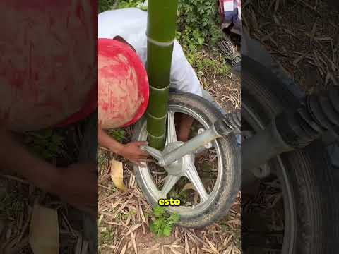 Un Enorme Bambú Creció En La Rueda De Su Moto 😲