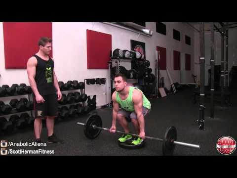 Muscular Strenght Title