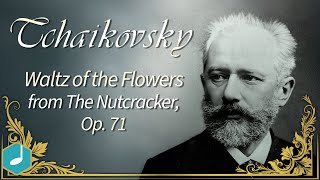 Johann Strauss II - Vienna Blood - Waltz