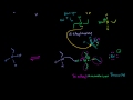 Amine in Sn2 part 2 Video Tutorial